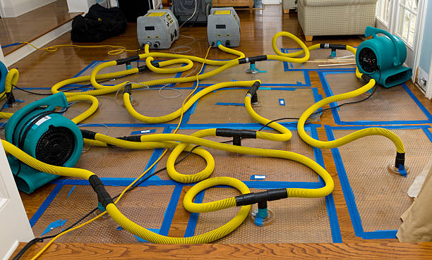 Professional Crawl Space Water Removal technician working in Canaan, ME